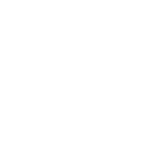 HAVENSTEDER LOGO WIT
